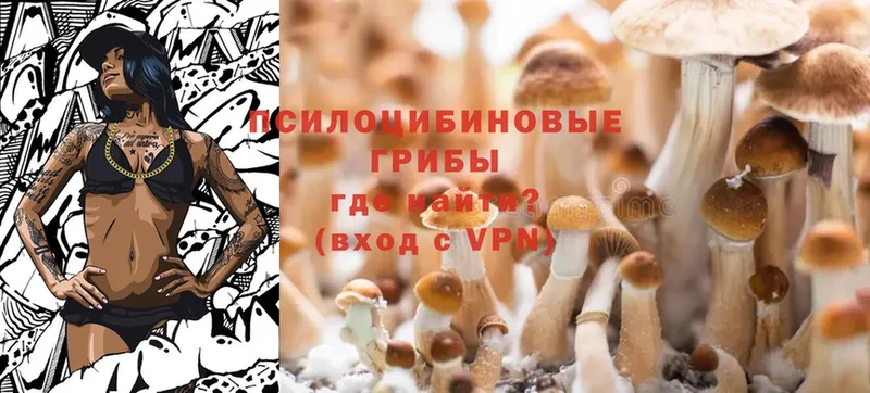 KRAKEN ССЫЛКА  Луза  Галлюциногенные грибы MAGIC MUSHROOMS  купить наркотик 